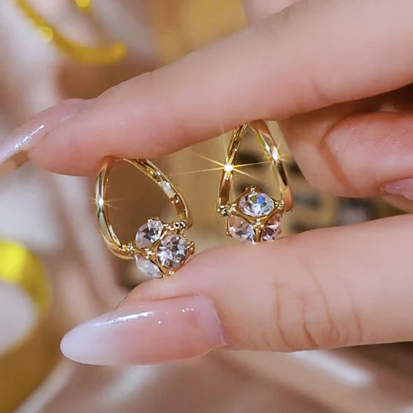 Par Pendientes de Germanio con terapia magnética (Descuento por tiempo limitado)