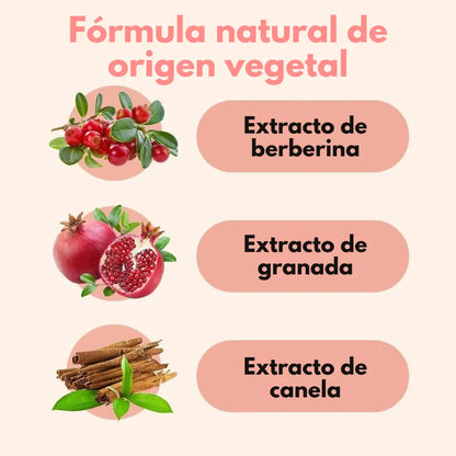 VitalPatch™ Parches de Equilibrio Metabólico (60 Unidades)